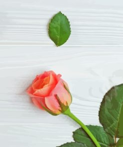 Single Pink Rose On Table Diamond Painting