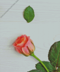 Single Pink Rose On Table Diamond Painting