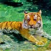 Tiger In Water Diamond Painting