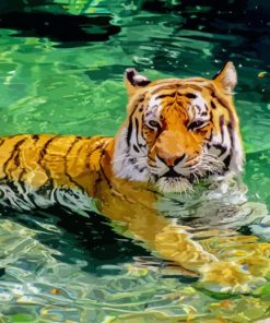 Tiger In Water Diamond Painting