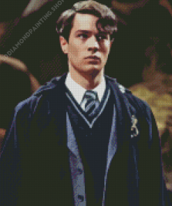 Tom Riddle Diamond Painting