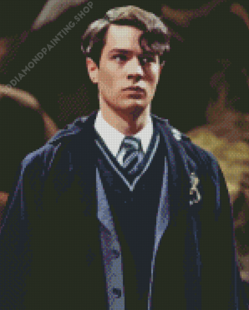 Tom Riddle Diamond Painting