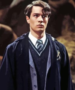 Tom Riddle Diamond Painting