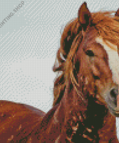 Wild Mustang Animal Diamond Painting