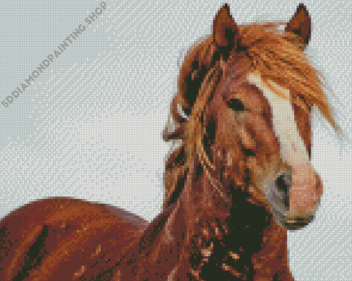 Wild Mustang Animal Diamond Painting