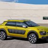 Yellow Citroen Cactus Diamond Painting