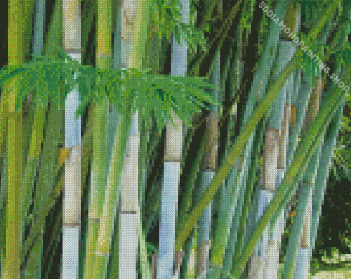 Bambusa Chungii Bamboo Plant Diamond Painting