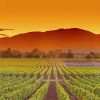 Napa Valley California Diamond Painting