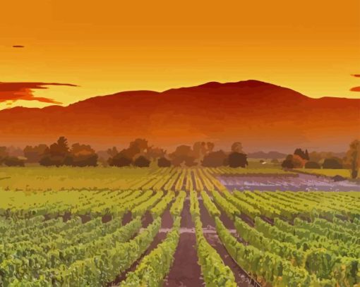 Napa Valley California Diamond Painting