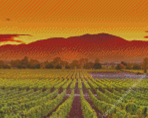 Napa Valley California Diamond Painting