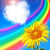 Rainbow Sunflower Diamond Painting