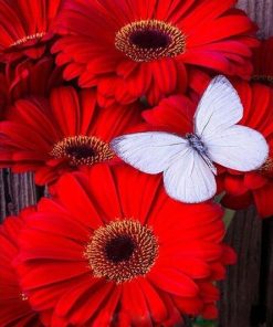 Red Flowers And White Butterfly Diamond Painting