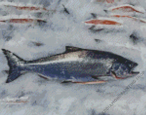 Salmon King Fish Diamond Painting