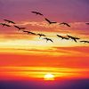 Sunset Geese Flying Diamond Painting