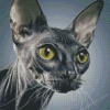 Grey Sphynx diamond painting