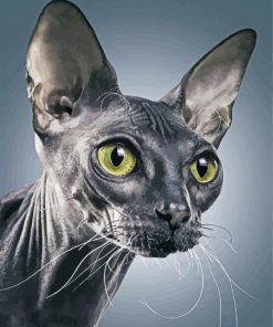 Grey Sphynx diamond painting