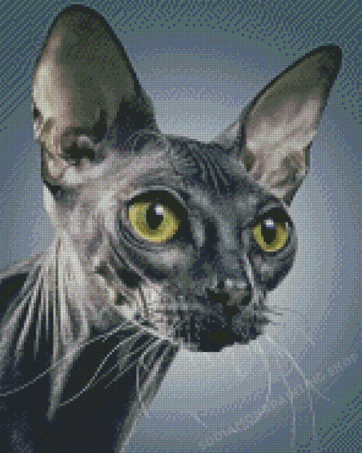 Grey Sphynx diamond painting