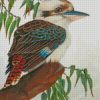 Kookaburra Bird Diamond Paintings