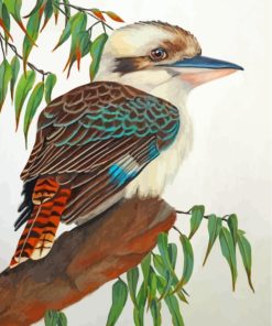 Kookaburra Bird Diamond Paintings