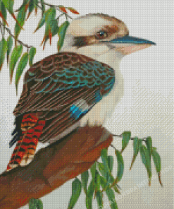 Kookaburra Bird Diamond Paintings