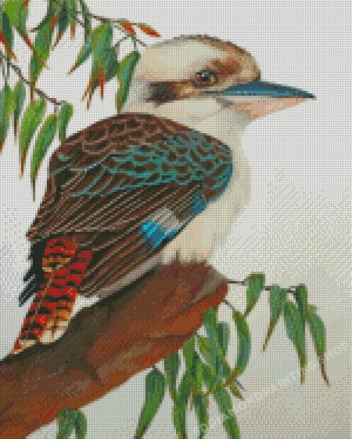 Kookaburra Bird Diamond Paintings