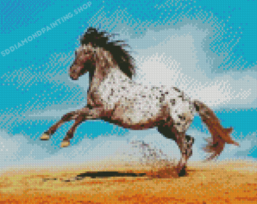 Appaloosa Horse Diamond Paintings