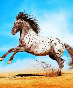 Appaloosa Horse Diamond Paintings