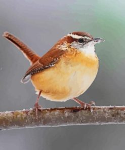 Carolina Wren Diamond Painting