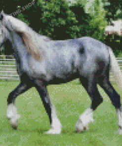 Grey Shire Horse Diamond Painting Grey Shire Horse Diamond Painting