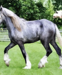 Grey Shire Horse Diamond Painting