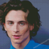 Timothee Chalamet Diamond Painting