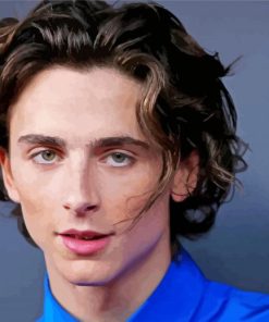 Timothee Chalamet Diamond Painting