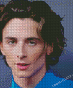 Timothee Chalamet Diamond Painting