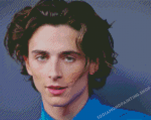 Timothee Chalamet Diamond Painting