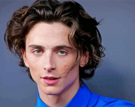 Timothee Chalamet Diamond Painting