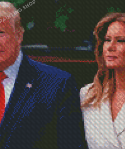 Donald Trump And Melania Diamond Painting