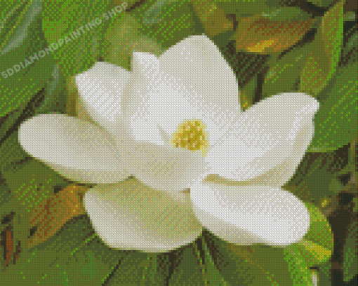 White Magnolia Flower Diamond Painting