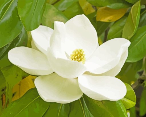 White Magnolia Flower Diamond Painting