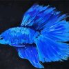 Abstract Blue Betta Fish Diamond Painting