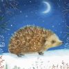 Christmas Hedgehog Diamond Painting