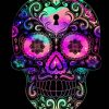 Mexican Mandala Neon Skull Diamond Painting