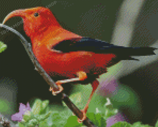 Kauai Bird Diamond Painting