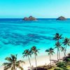 Palm Tree At Lanikai Beach Diamond Painting