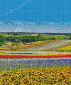 Flower Fields In Hokkaido Garden Diamond Painting