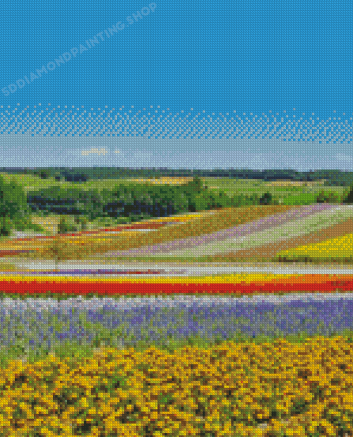 Flower Fields In Hokkaido Garden Diamond Painting