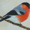 Eurasian Bullfinch Bird Diamond Painting