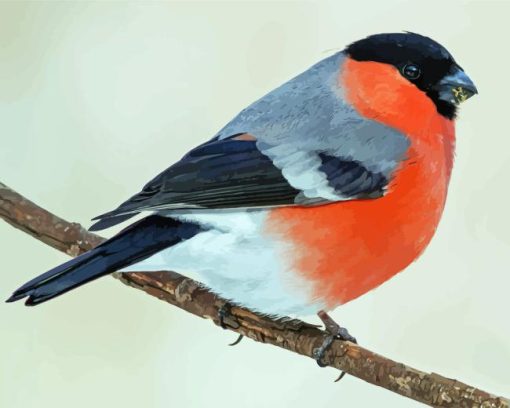 Eurasian Bullfinch Bird Diamond Painting