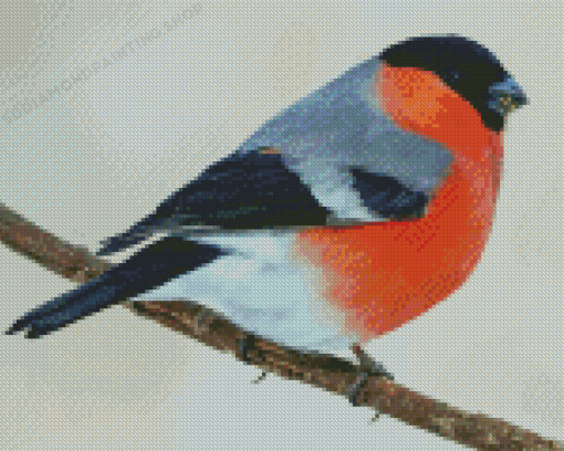 Eurasian Bullfinch Bird Diamond Painting